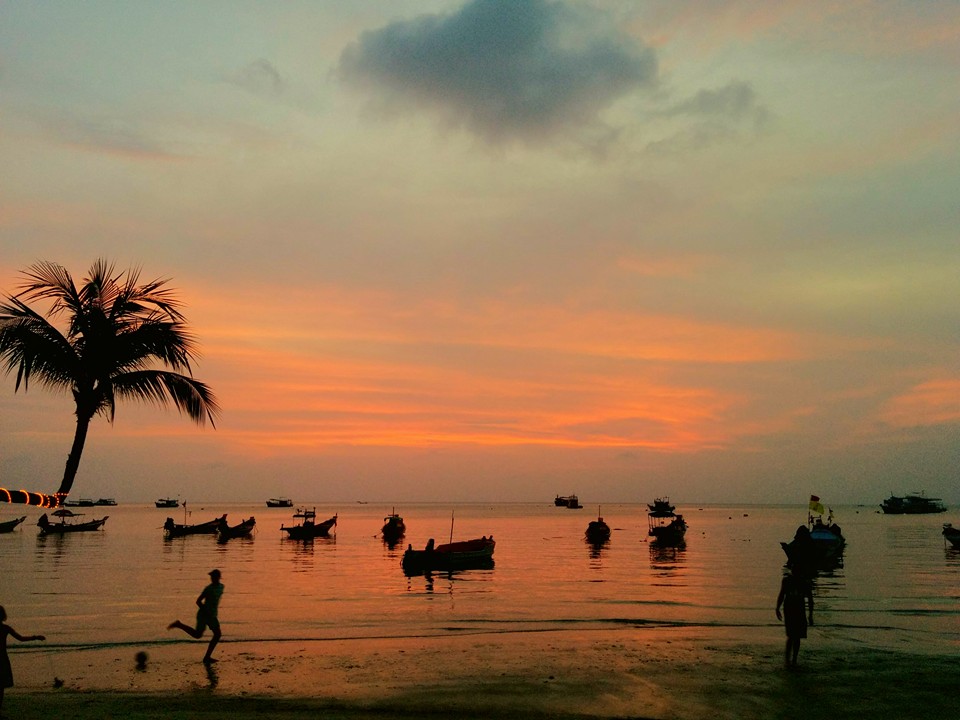 koh tao